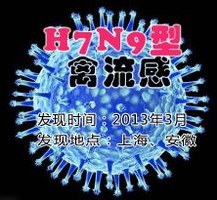 <b>一起对抗H7N9</b>